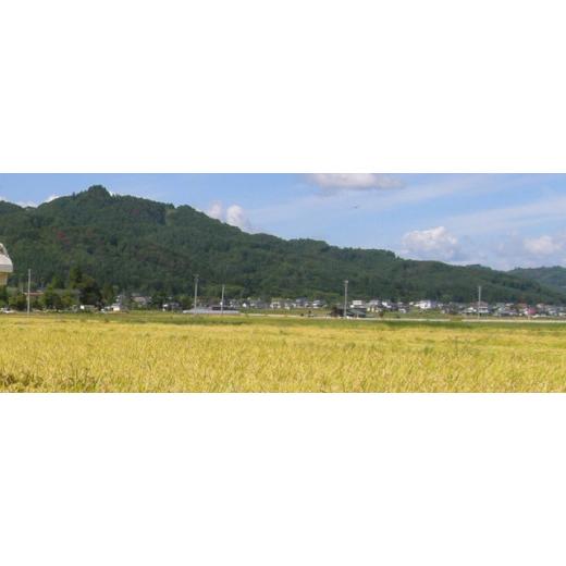 ふるさと納税 山形県 米沢市  はえぬき 計20kg／月 1回配送 5kg×4袋 2023年産 [006R5-034]