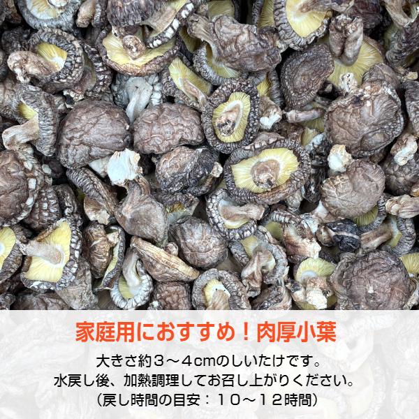 干し椎茸 国産 肉厚小葉 300g 大容量 原木栽培 しいたけ 干ししいたけ