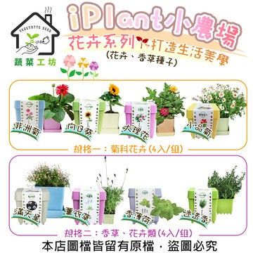 蔬菜工坊 iPlant小農場-花卉系列(花卉、香草種子)打造生活美學很簡單(4入/組)