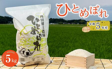 令和5年産　ひとめぼれ　5kg×1袋