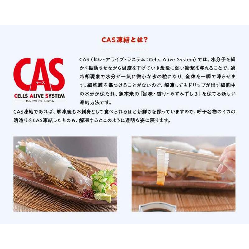 剣先イカ 約120ｇ×5P　佐賀 呼子 剣先 イカ刺し  姿造り 新鮮 CAS凍結 呼子直送 いか イカ 刺身 お取り寄せグルメ 贈り物 ギフト 九州