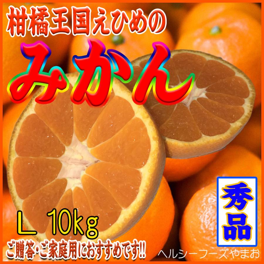 2023　お歳暮ギフト　みかん（愛媛産・瀬戸内・Lサイズ）１０ｋｇ入（ご贈答用・ご家庭用に最適です）