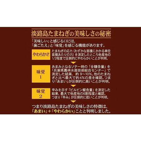 ふるさと納税 淡路島たまねぎスープ （5g×10袋入り） 10セット 兵庫県