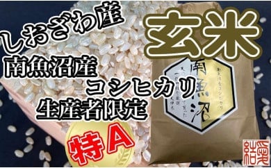 玄米 南魚沼しおざわ産コシヒカリ2Kg×3ヶ月