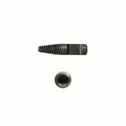 【威利小站】日本ANEX ANH-RS253 ANH-RS45 反牙拆卸頭 失效螺絲 拆卸工具 拔取器 替換 反牙螺絲