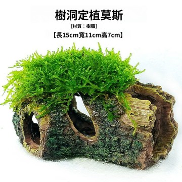 免運費🚀魚缸造景 莫斯水榕水草陶罐 活體躲避屋 水下擺件 淡水懶人增氧擺件 魚蝦窩 水族裝飾 魚蝦躲避屋🔥XBH