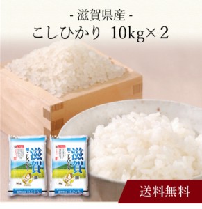 〔 滋賀県産 こしひかり 〕お取り寄せ 送料無料 内祝い 出産内祝い 新築内祝い 快気祝い ギフト 贈り物