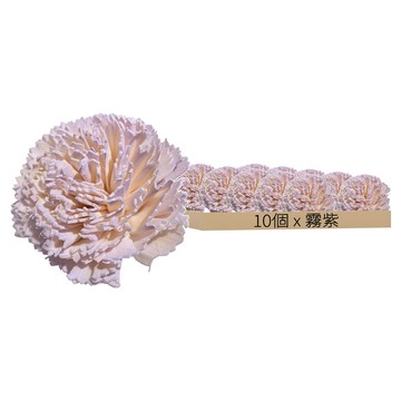 康乃馨 6.5cm  霧紫