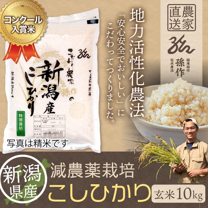 玄米 新潟県産 コシヒカリ 特別栽培米 10kg 令和5年産 新米 こしひかり 10キロ 農家直送 減農薬