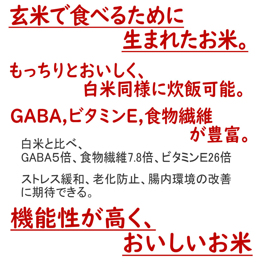 玄米 無洗米 金のいぶき 4.5kg 宮城県産 米 お米 条件付き 送料無料 小分け