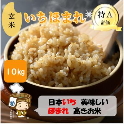 ふるさと納税 あわら市 いちほまれ 玄米 5kg×2袋(計10kg)《新鮮な高品質米をお届け!》