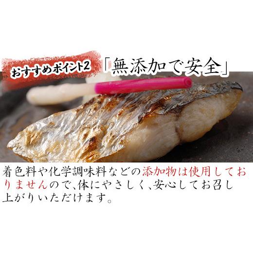 ふるさと納税 佐賀県 唐津市 目利きが選んだごちそう旬魚 7種9枚7切 セット あじ さば ぶり さわら 真鯛 赤むつ 干物 粕漬け しめ鯖 みりん醤油漬け 味噌漬け …