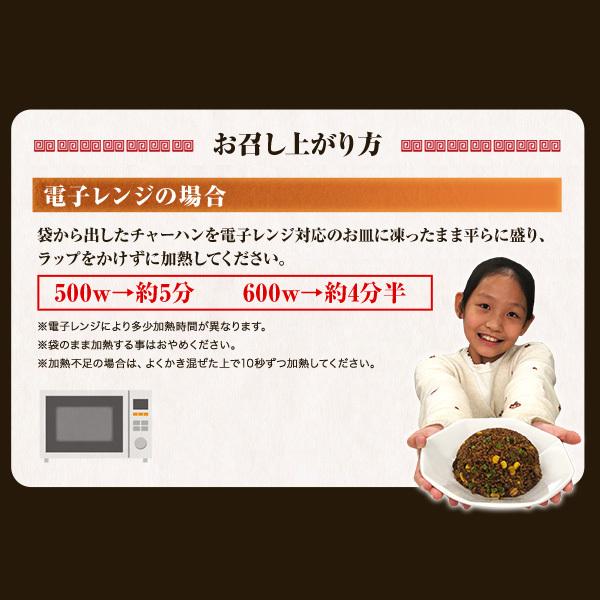 皇朝 チャーハン 炒飯 冷凍 送料無料 送料込み お取り寄せ 食品 グルメ 中華 横浜中華街 4種チャーハン＆ワンタンスープセット