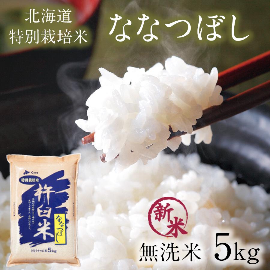 本日クーポンで5％OFF ななつぼし 無洗米 5kg 特別栽培米 新米 令和5年産 北海道産 米 農家直送 特A 減農薬 2023年産 送料無料