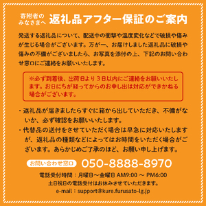 川田柑橘園 呉市大長産 「紅八朔」８kg