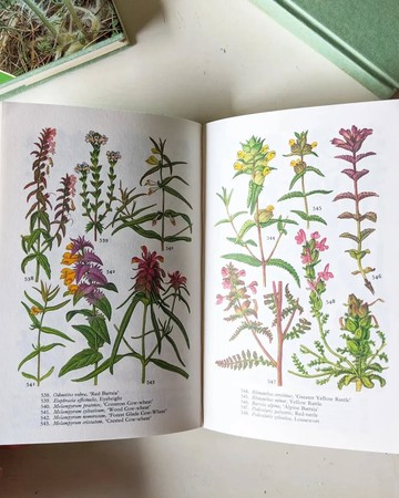 本書採下單後開始尋書/野花百科全書/老書/古書/圖鑑/花藝/老書