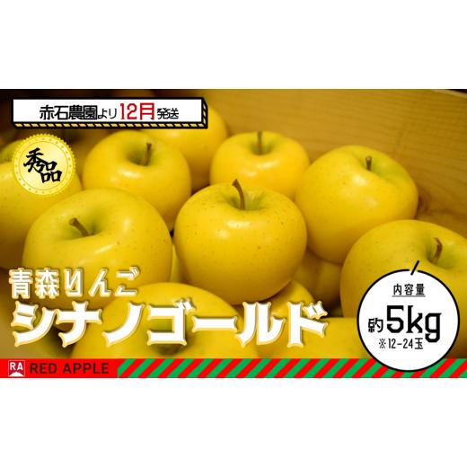 ふるさと納税 青森県 弘前市 秀品 シナノゴールド 約5kg