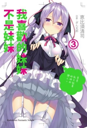 我喜歡的妹妹不是妹妹（3）[二手書_近全新]