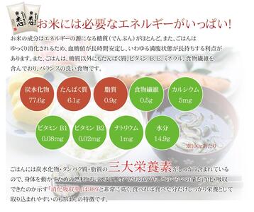 令和5年産 特別栽培米ゆめぴりか 5年保存個人用備蓄米『米心』20kg（約2ヶ月の備蓄）