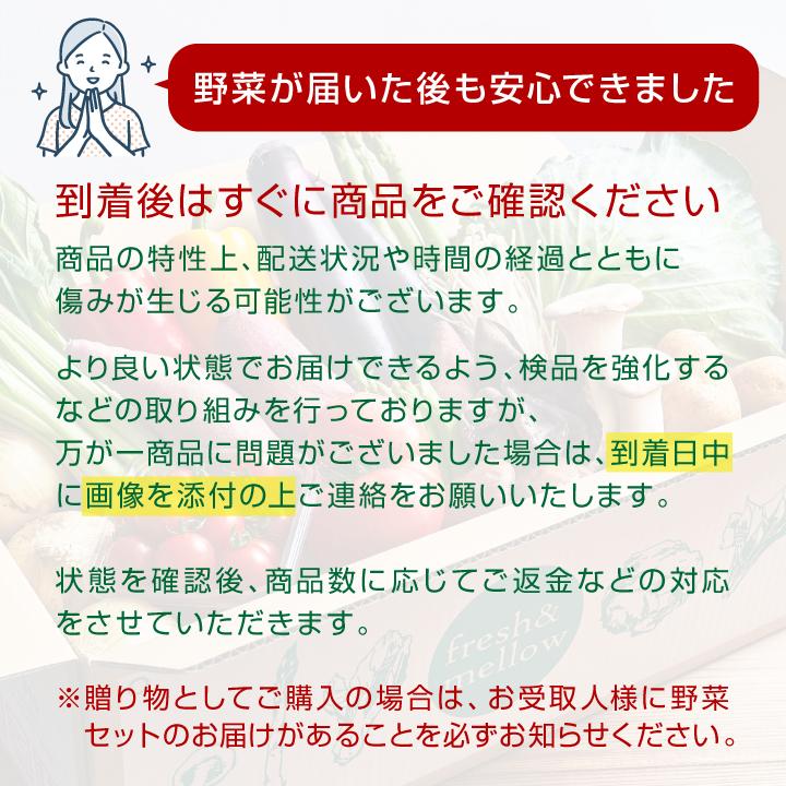 とびきりお得に野菜を買える！16品 野菜セット 国産 クール便 お試し 箱買い まとめ買い お取り寄せ