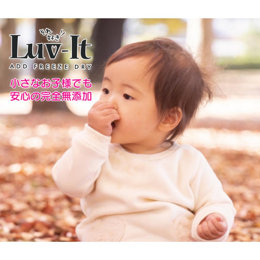 フリーズドライフルーツ Luv-It ストロベリー12個セット