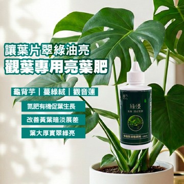 【綠藝家】植予 綠優 120ml 點滴瓶 觀葉植物專用肥 龜背芋 蔓綠絨 觀音蓮 氮肥 液肥 葉面噴灑 讓葉