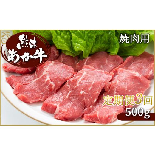 ふるさと納税 熊本県 和水町  肥後の赤牛　焼肉用 500g