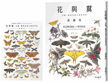 花與翼：在蛾、蝶與花葉之間的等待 (首刷限定海報版)