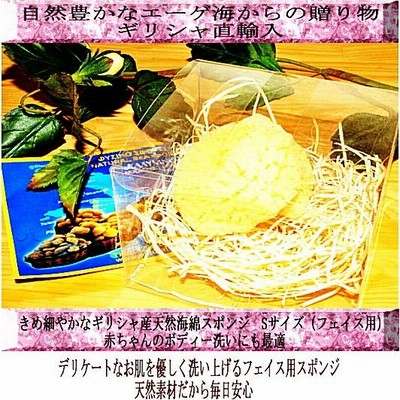 ギリシャ特産品 ギリシャ産 上質天然海綿スポンジ シルク種 L＆S