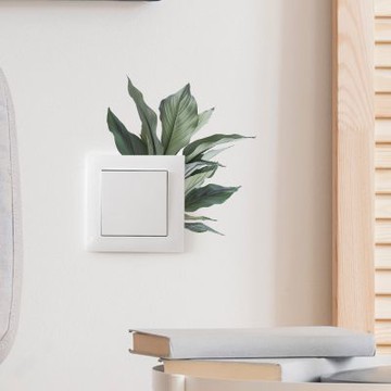 【MR.ZAKKA】創意萬用裝飾貼紙-植物主題 清新綠植寬葉片 居家節慶布置 DIY可移式壁貼 無痕壁貼 牆貼