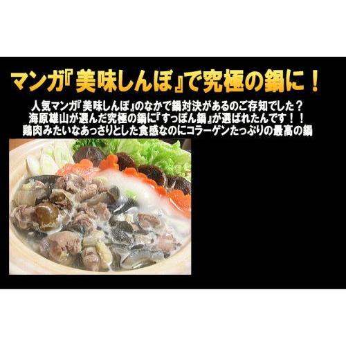 すっぽん鍋セット3〜4人前　 すっぽん お取り寄せ コラーゲンたっぷり スッポン鍋 スッポン料理