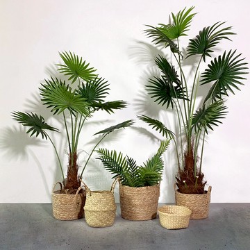 仿真植物蒲葵扇葵北歐風風格大型落地盆栽綠植造景家居裝飾擺件