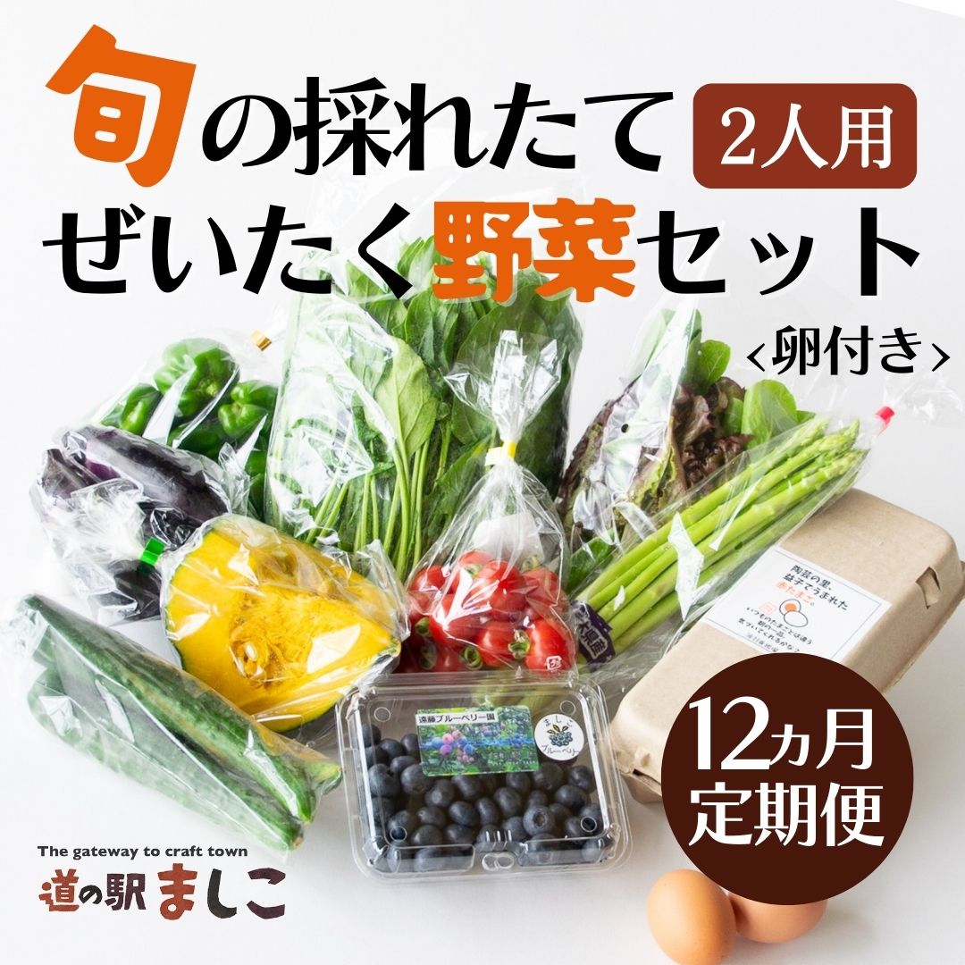 AA004 ＜12か月定期便＞旬の採れたてぜいたく野菜セット（卵付き）2人用　定期便 12カ月 野菜 やさい セット 旬 採れたて 卵 2人用 2人前 贅沢 ぜいたく 10個入り1パック