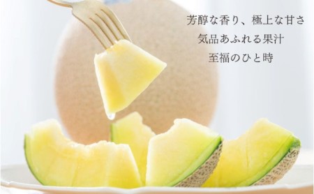 クラウンメロン1玉（1.3kg前後）＋うなぎ蒲焼（120g×4尾）セット