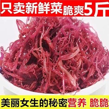 紫晶藻【鹽漬鮮貨】脆嫩海藻涼拌菜龍須菜海白菜海葡萄海石花裙帶菜鹿角菜