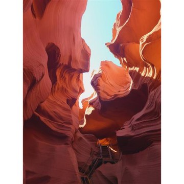 美麗星世界｜嘉年華佛羅倫斯號｜大峽谷．羚羊谷．拉斯維加斯｜墨西哥．恩森納達｜洛杉磯精華團體遊11日_BSFLOMX11B