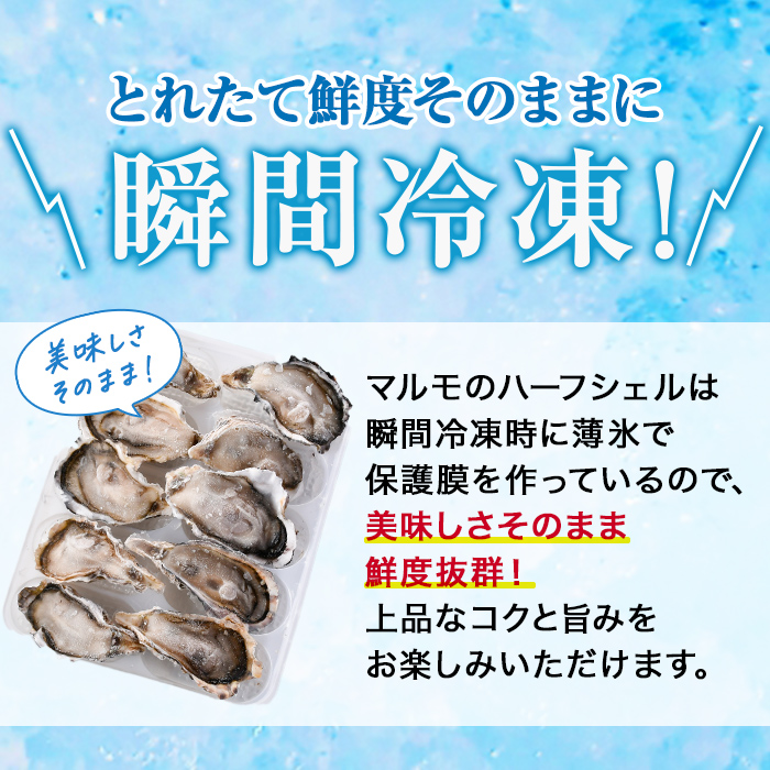 冷凍 ハーフシェル 真牡蠣(生食可) 1袋 10個 九十九島産［プロトン冷凍 グレーズ処理 UV殺菌済］マルモ水産