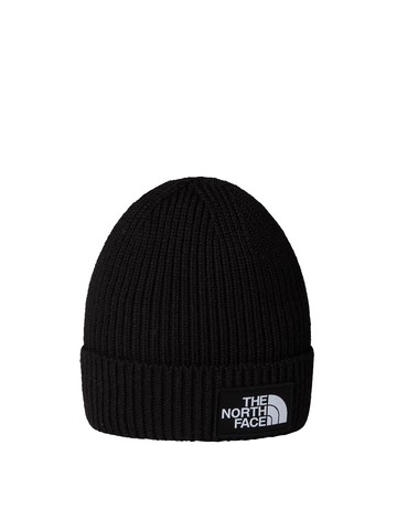 the north face beanie with logo