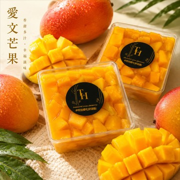 【樹洞裡的甜點】當季限定 新鮮芒果提拉米蘇 芒芒人海中幸好遇見你