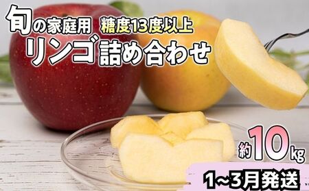 家庭用 旬のリンゴ詰め合わせ 約10kg糖度13度以上