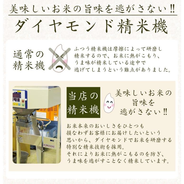 内祝  米 食べ物 贈り物 新米 純国産 最高級 ミルキークイーン コシヒカリ 計1.8kg