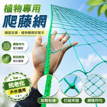 免運💒臺灣熱銷🐬植物爬藤網百香果豆角黃瓜月季吊瓜絲瓜苦瓜葡萄種植搭架大棚網
