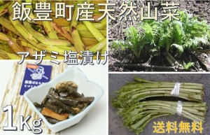 発売中自然の恵み　山形県飯豊町便　