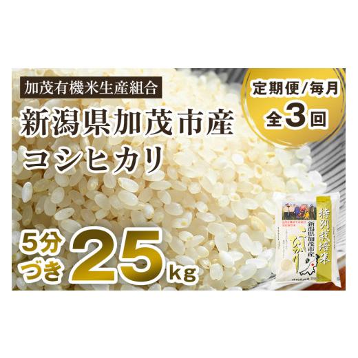 ふるさと納税 新潟県 加茂市 新潟県加茂市産 特別栽培米コシヒカリ 精米  25kg（5kg×5） 従来品種コシヒカリ 加茂有機…