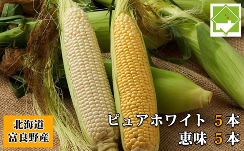 トウモロコシ 2種類セット 10本入 生で食べれる ピュアホワイト＆恵味 北海道 富良野市 (スイートベジタブルファクトリー)