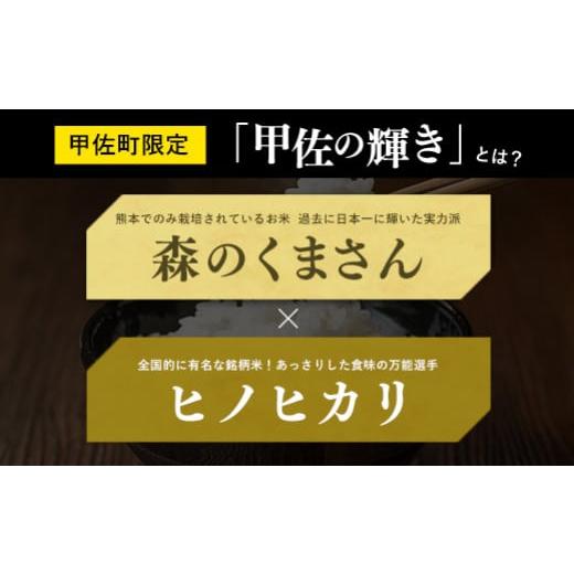 ふるさと納税 熊本県 甲佐町 ★11月発送分よりをお届け！★『甲佐の輝き』無洗米16kg×3ヶ月（5kg×2袋、6kg×1袋）【配送月選択可！…