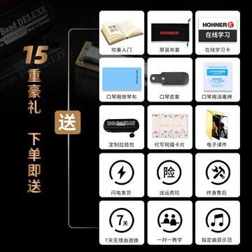 德國Hohner和來十孔藍調初學布魯斯口琴MarineBandDeLuxe MBD