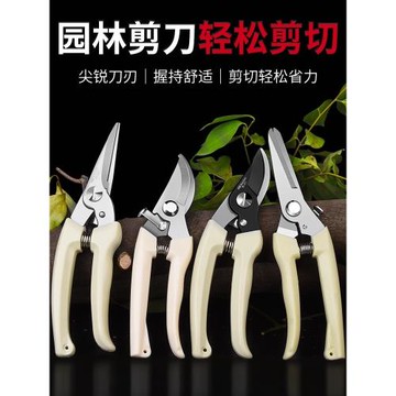 修枝剪果枝修剪刀盤栽剪園藝剪刀花藝剪刀果樹園林剪刀摘果粗枝剪