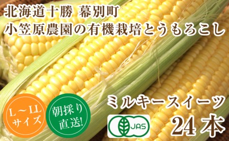 小笠原農園の有機とうもろこし「ミルキースイーツ」24本2024年8月発送開始