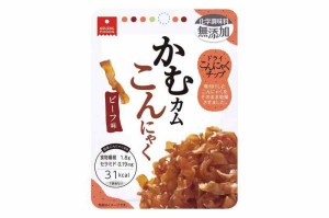 アスザックフーズ かむカムこんにゃく ビーフ味 10g ×10袋